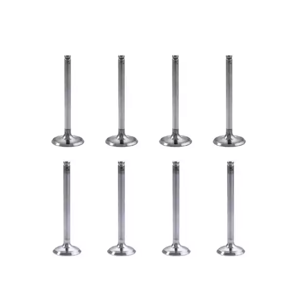 سوپاپ دود و هوای پژو 405 موتور XU7 شرکتی ایساکو